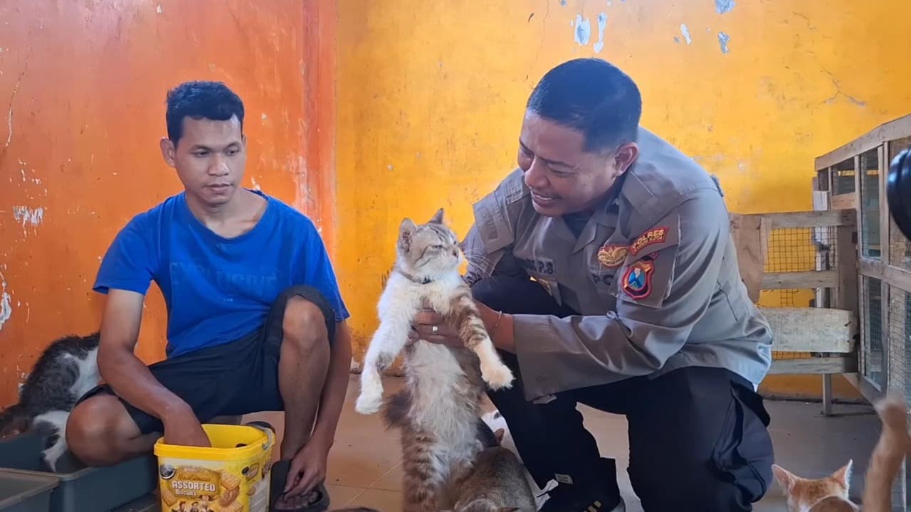 Polisi di Kediri Rawat Ratusan Kucing Liar, Dirikan Panti Khusus dari Dana Pribadi