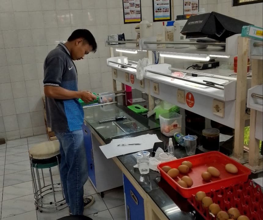 Tim UMM Sulap Daun Mangga Jadi Pelapis Telur, Awet Tanpa Ubah Rasa