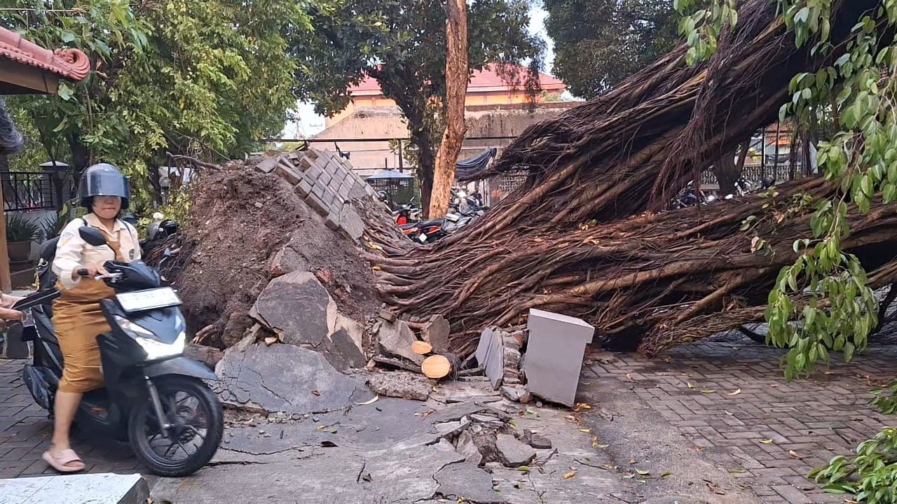 Pohon Beringin Tumbang Timpa Tiga Motor Guru SMAN 2 Kota Mojokerto