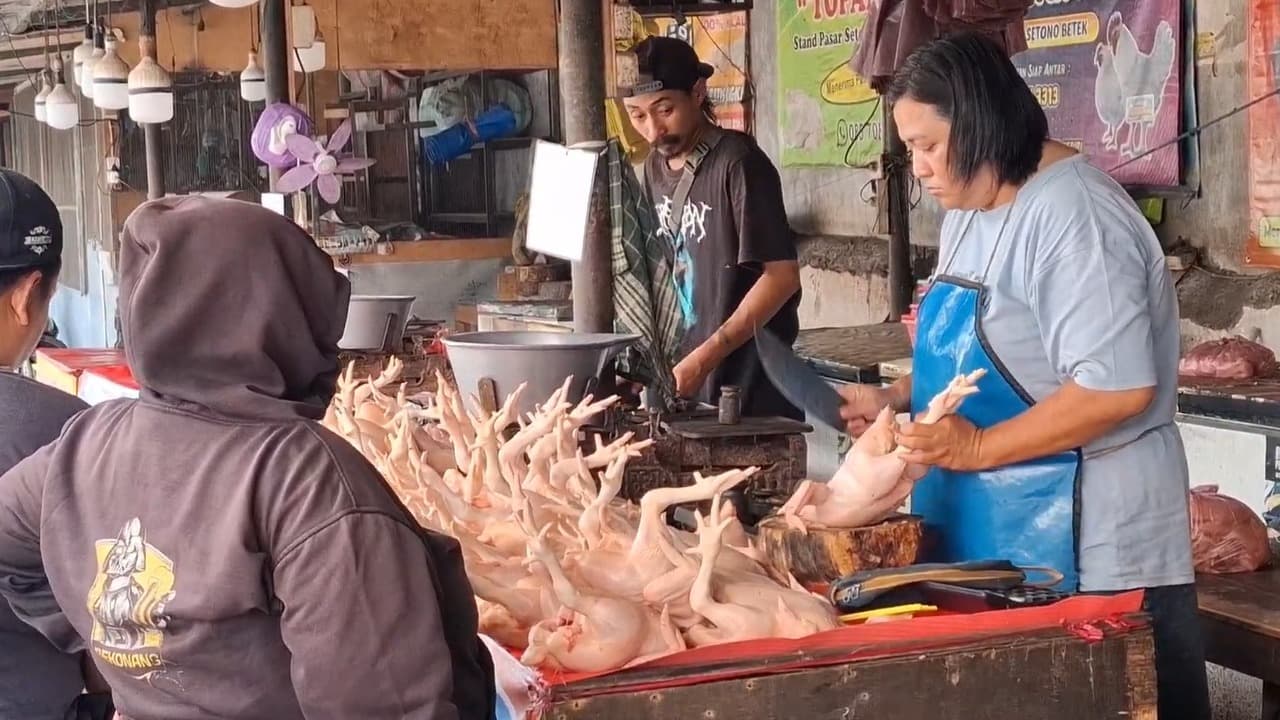 Harga Daging Ayam Potong di Kediri Tembus Rp 37 Ribu per Kilogram