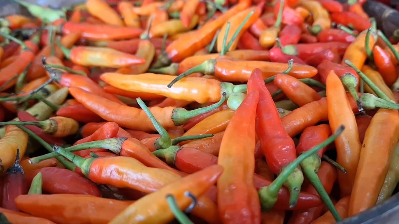 Harga Cabai Merah dan Keriting di Kota Kediri Masih Tinggi, Sentuh Rp 60.000 per Kg