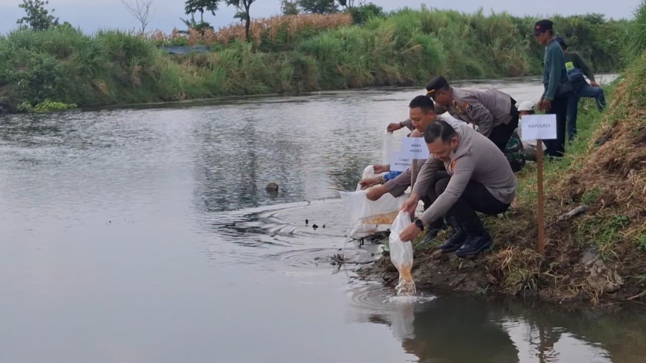 Jaga Ekosistem, 5.000 Benih Ikan Tombro Ditebar di Sungai Parit Agung Tulungagung