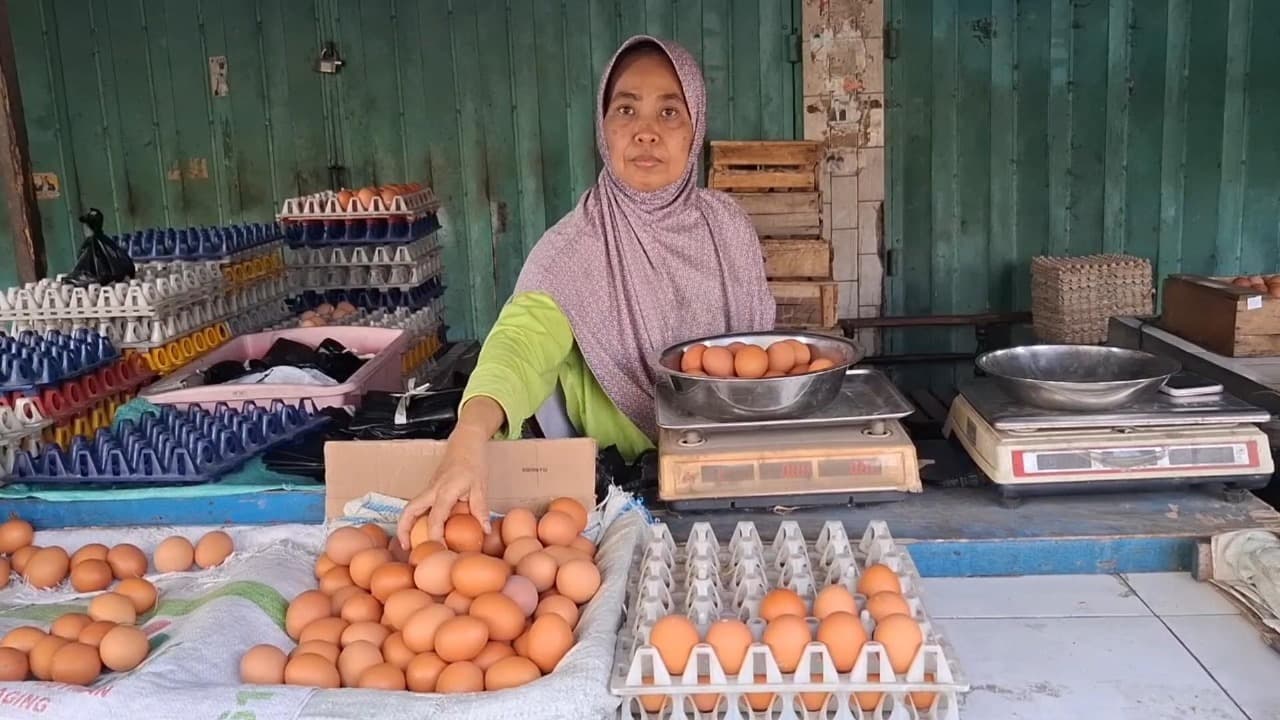 Harga Telur Ayam di Kota Kediri Tak Kunjung Turun, Pedagang Sebut Imbas Program MBG