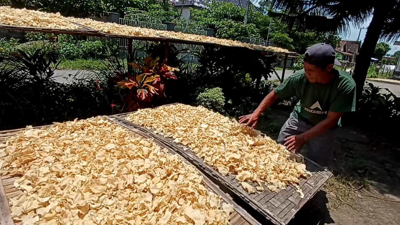 Musim Hujan, Produksi Keripik Gadung di Blitar Menurun