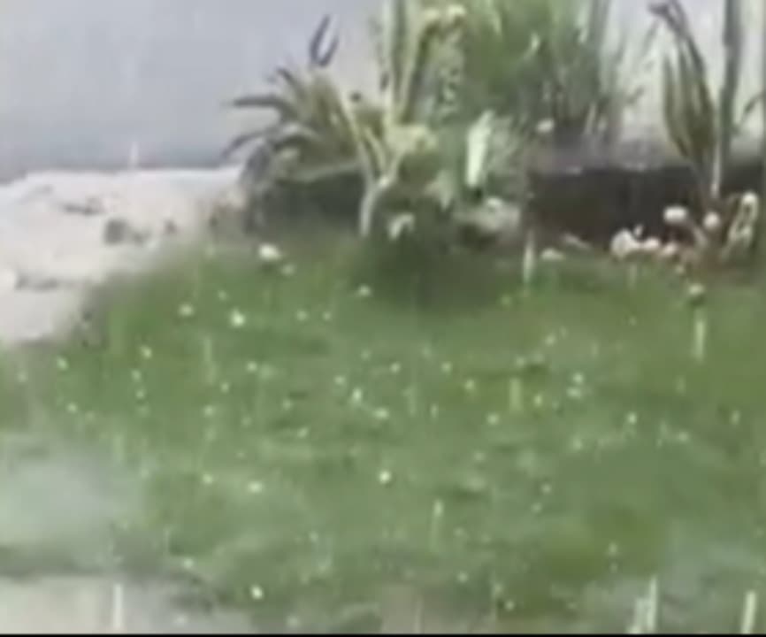 Hujan Es di Tuban, Warga Berburu Pungutin Butiran Es