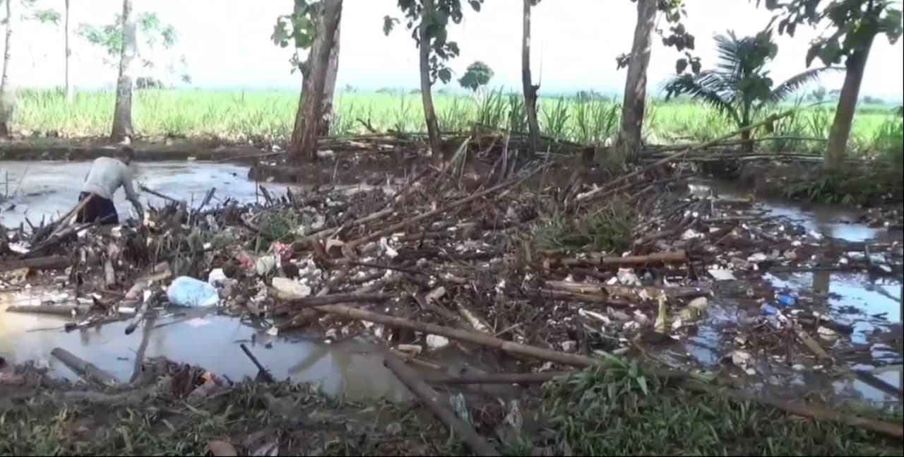 Tumpukan Sampah Rumah Tangga Sebabkan Banjir di Tanggul Jember