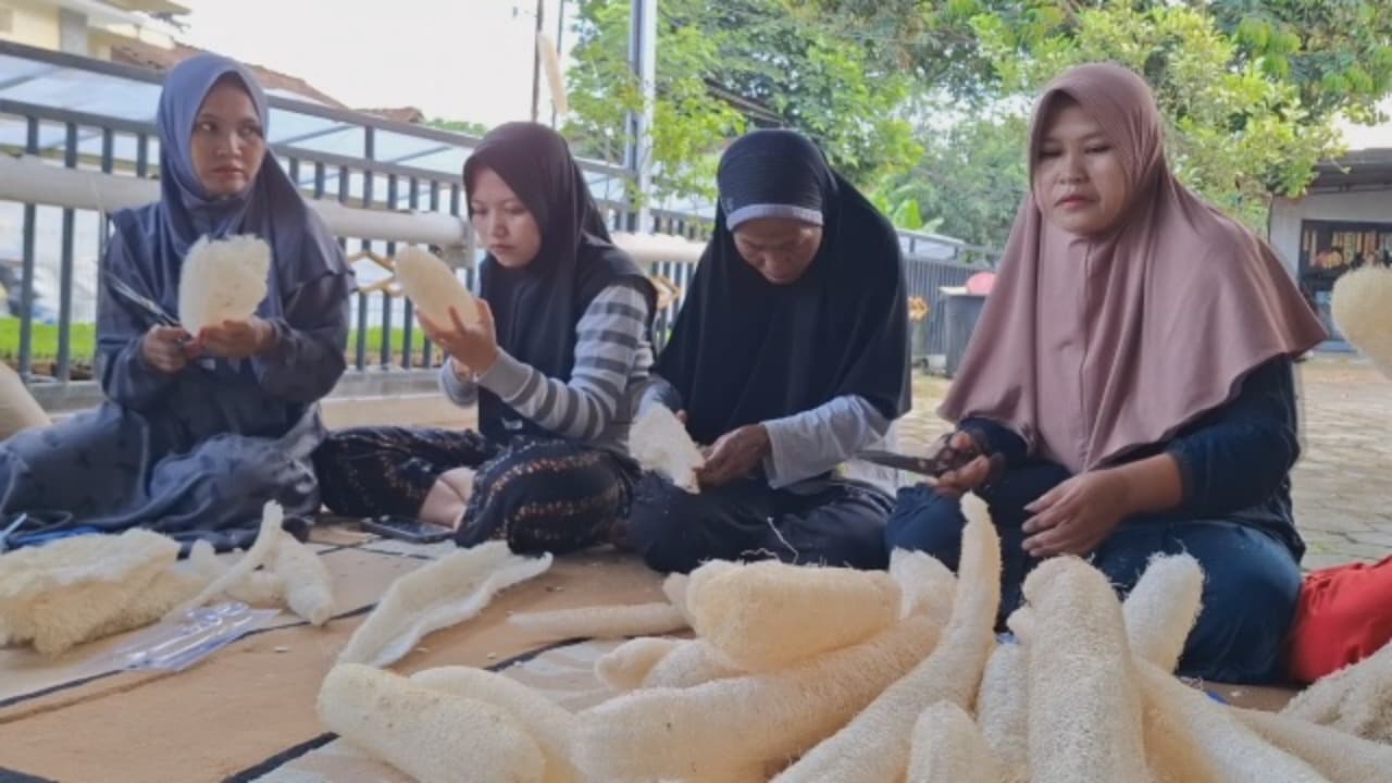 Serat gambas disulap jadi produk bernilai ekspor.