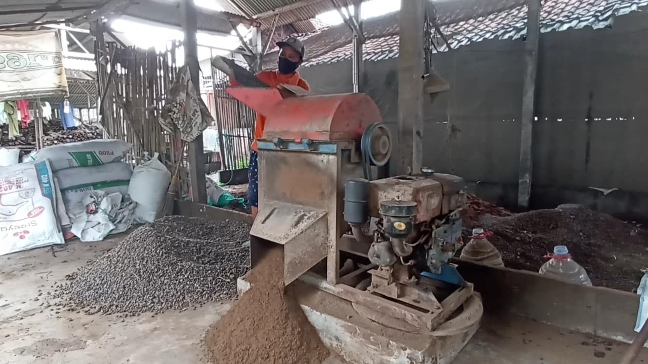 Inovasi Warga Blitar: Sulap Kotoran Ternak Jadi Pupuk Organik Bernilai Ekonomi Tinggi