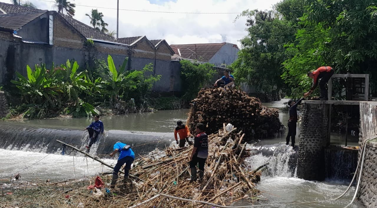 Petugas BPBD dan DPU Banyuwangi Berjibaku Bersihkan Rumpun Bambu yang Menyumbat