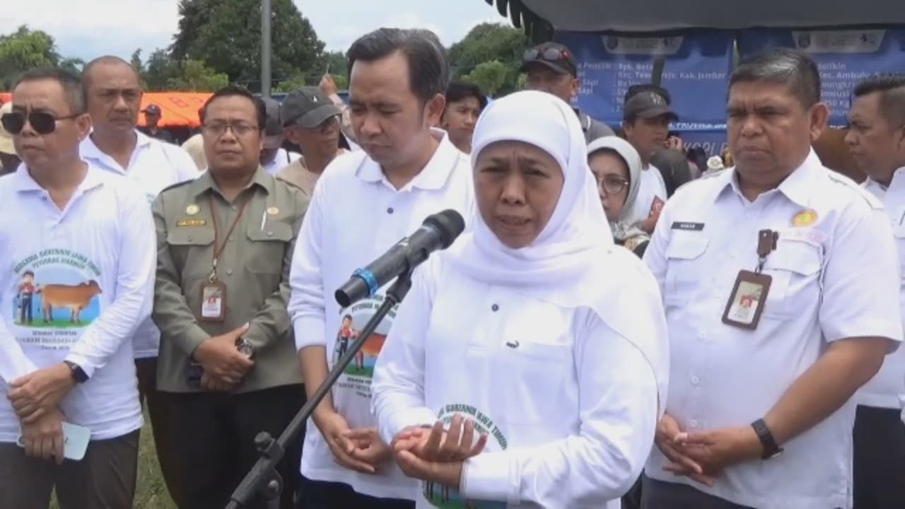 Pemprov jatim upayakan swasembada daging.