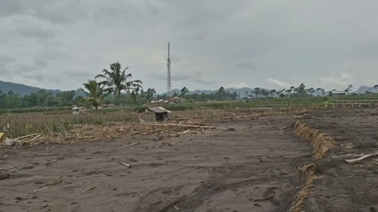 Perjuangan petani ditengah bencana.