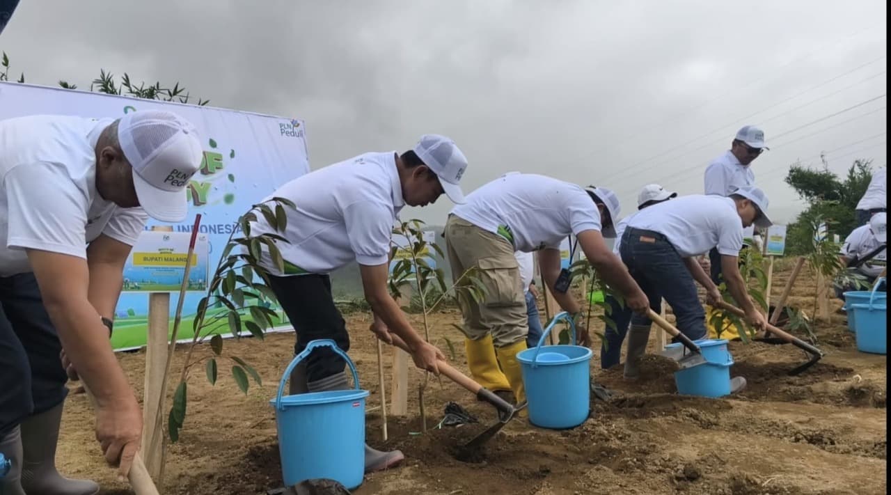 PLN lakukan Penanaman 10.000 Pohon di Kawasan Waduk Selorejo, Dukung Kelestarian Lingkungan & Ekonomi Warga