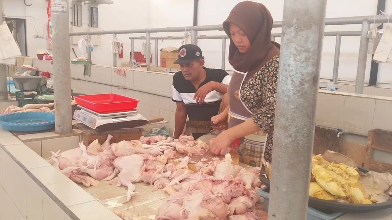 Harga Daging Ayam Melonjak, Pedagang Kecil Tertekan Program MBG