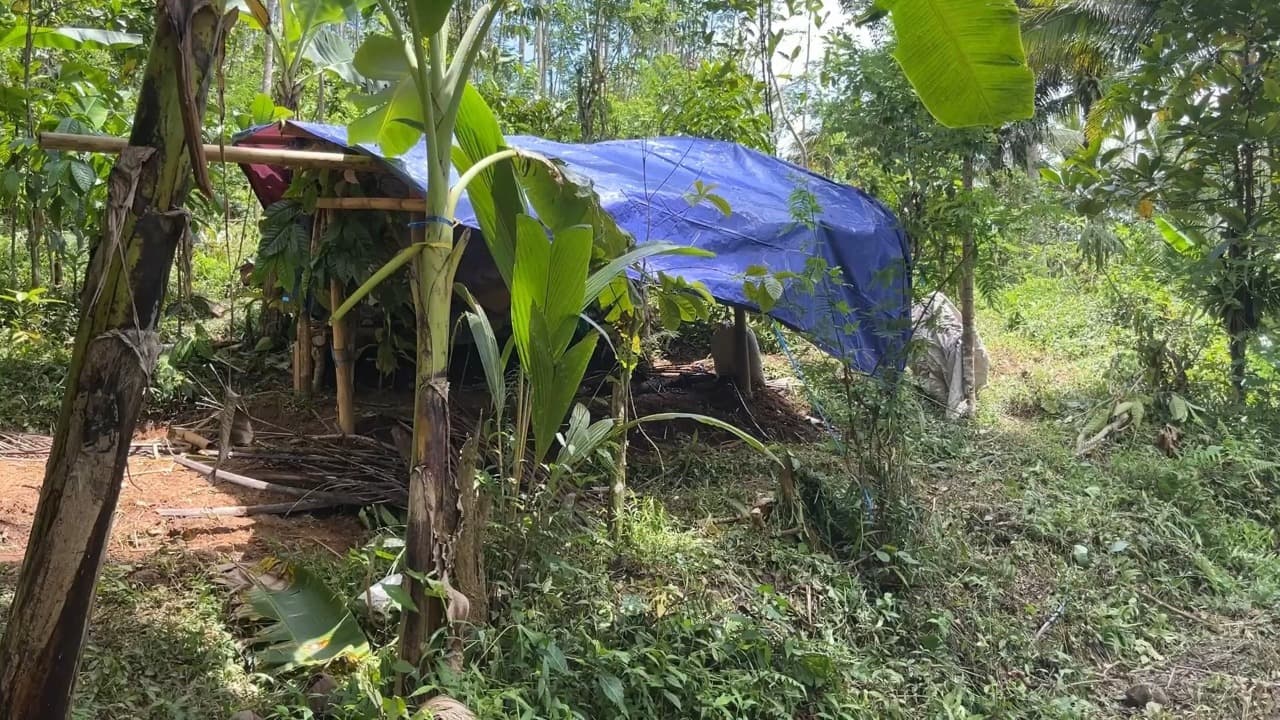 Enggan Dievakuasi, Warga Sumberlangsep Dirikan Tenda di Bukit