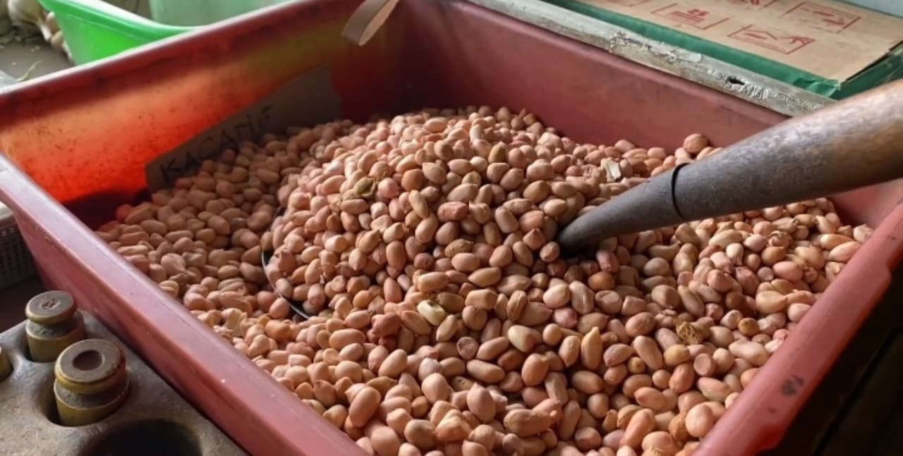 Harga Kacang Tanah Naik Hingga Rp 40 Ribu Per Kilogram, Penjualan Menurun Drastis