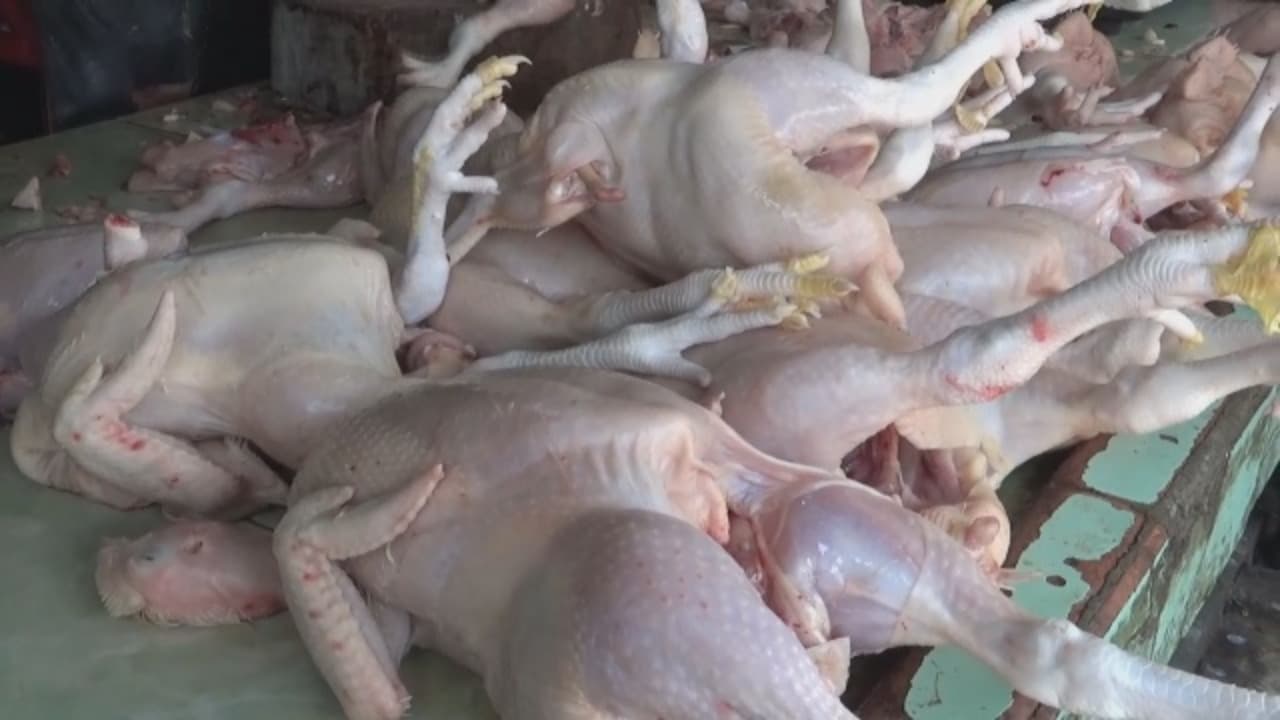 Harga Daging Ayam Dan Sapi Merangkak Naik