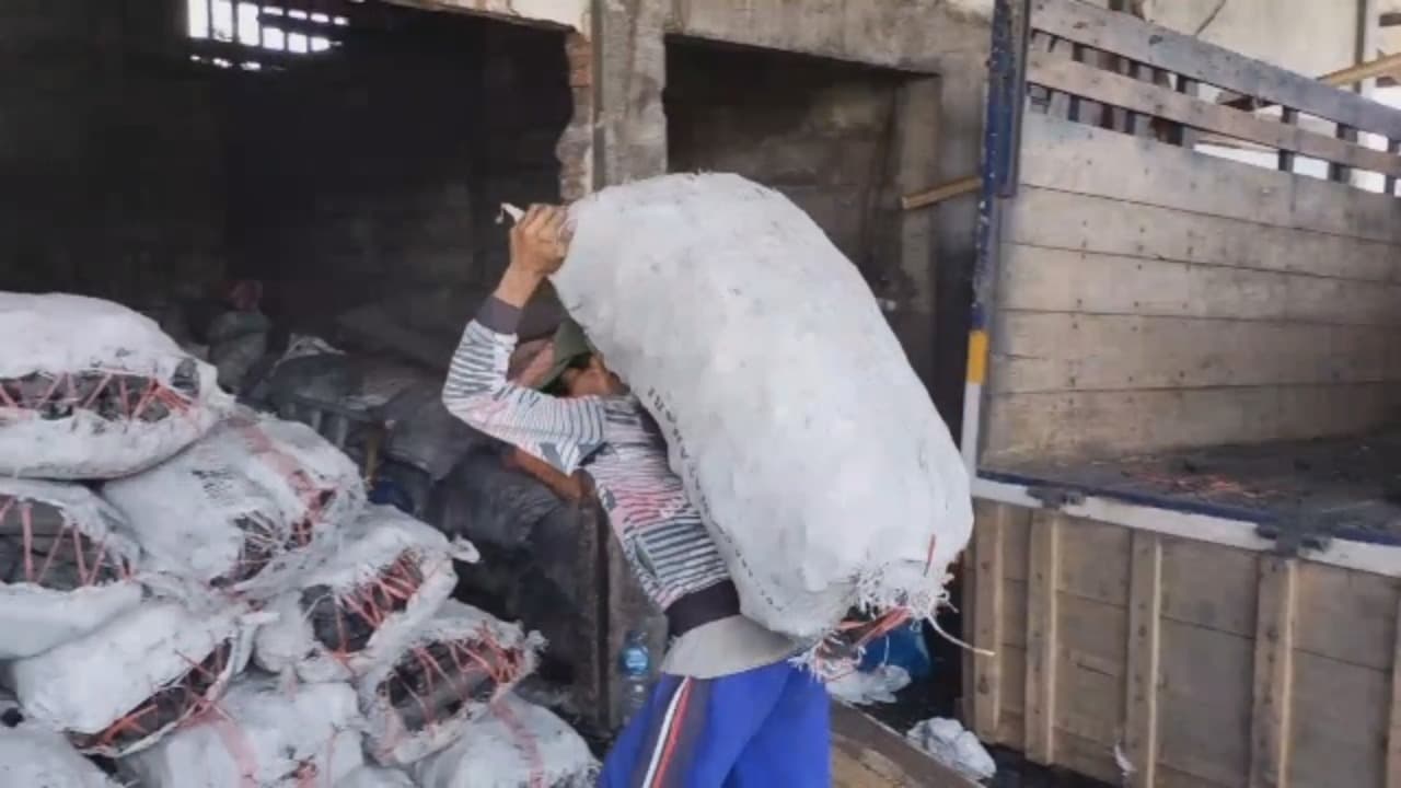 Produksi Arang Ekspor Ke Luar Negeri