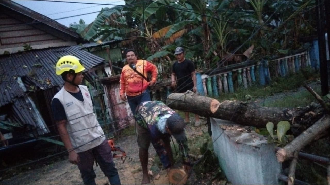 Pohon Jati Emas Tumbang Timpa Rumah dan Mobil di Gedeg Mojokerto