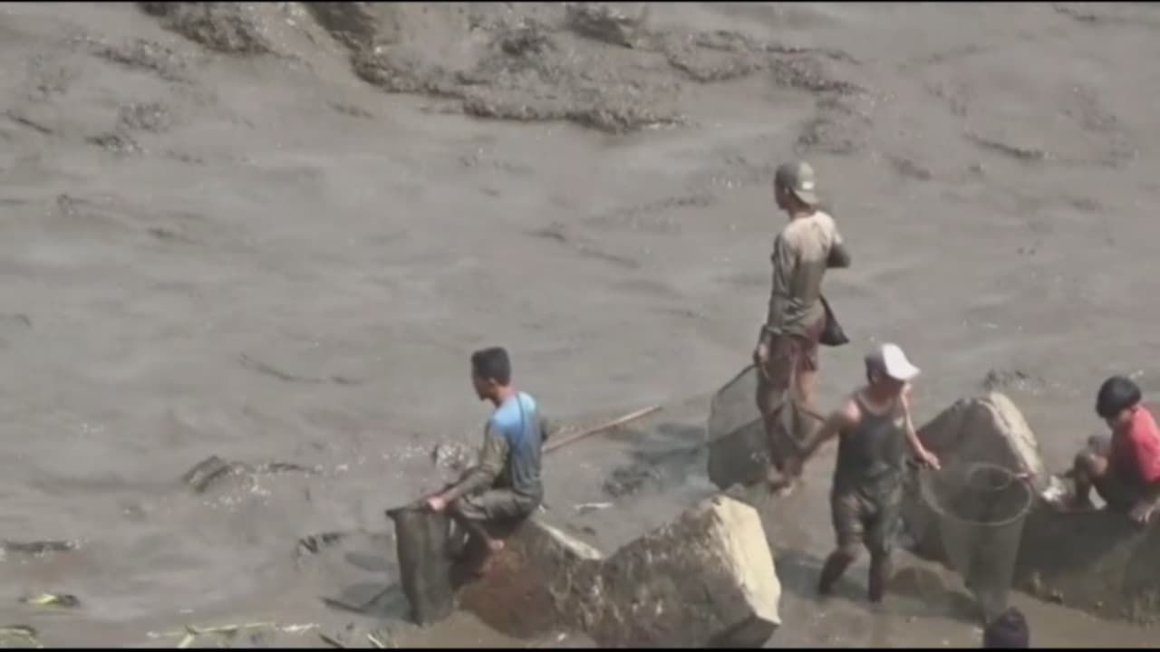 Tradisi Asatan, Ribuan Warga Berburu Ikan