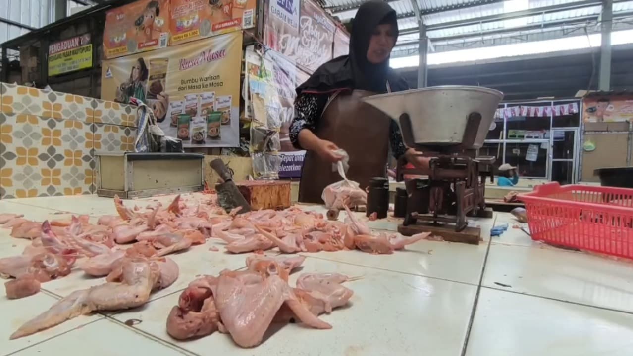 Awal Tahun 2026, Harga Daging Ayam Masih Tinggi