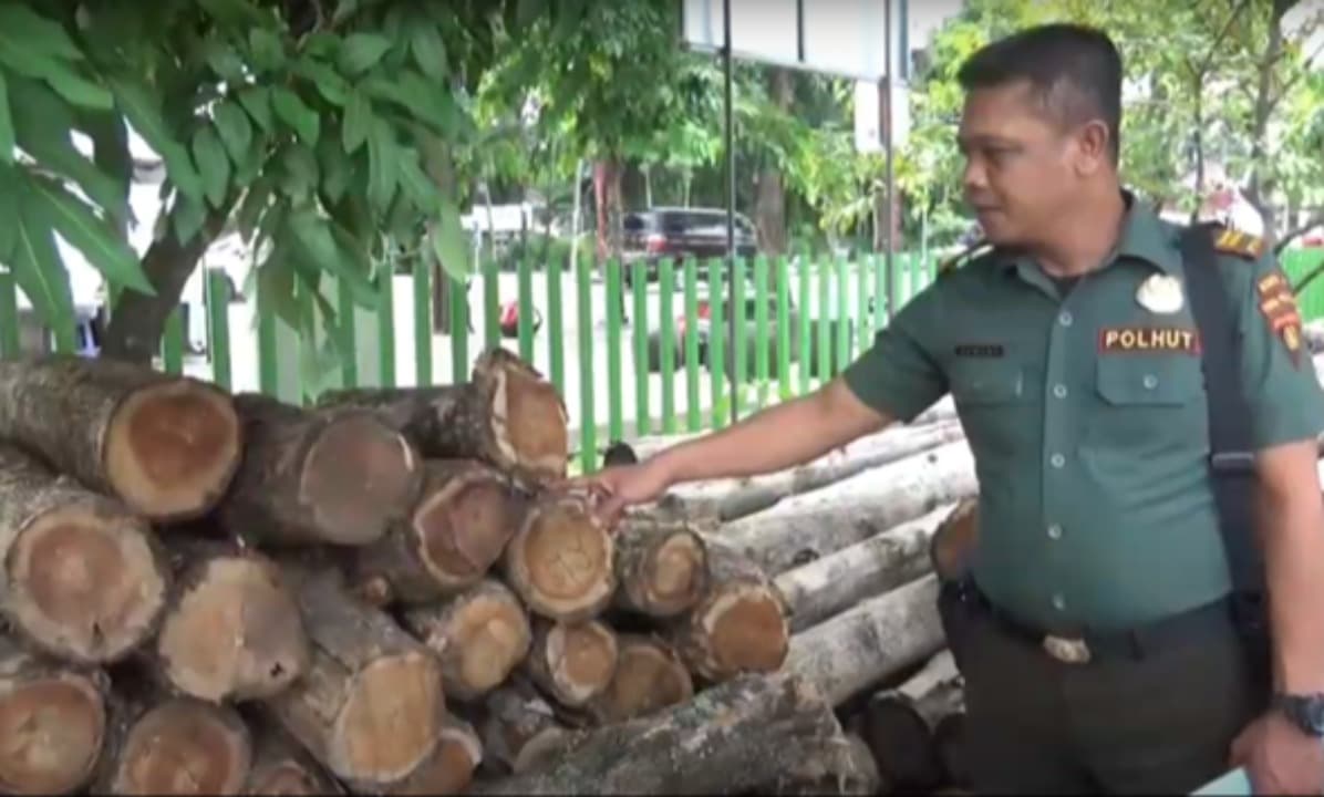533 Batang Kayu Dicuri, Perhutani Ngawi Alami Kerugian Rp 59,9 Juta