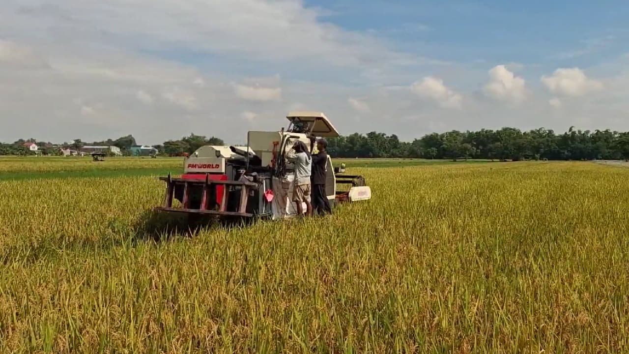 Stok Beras Bulog Kediri Melimpah, Cukup untuk 20 Bulan Kedepan