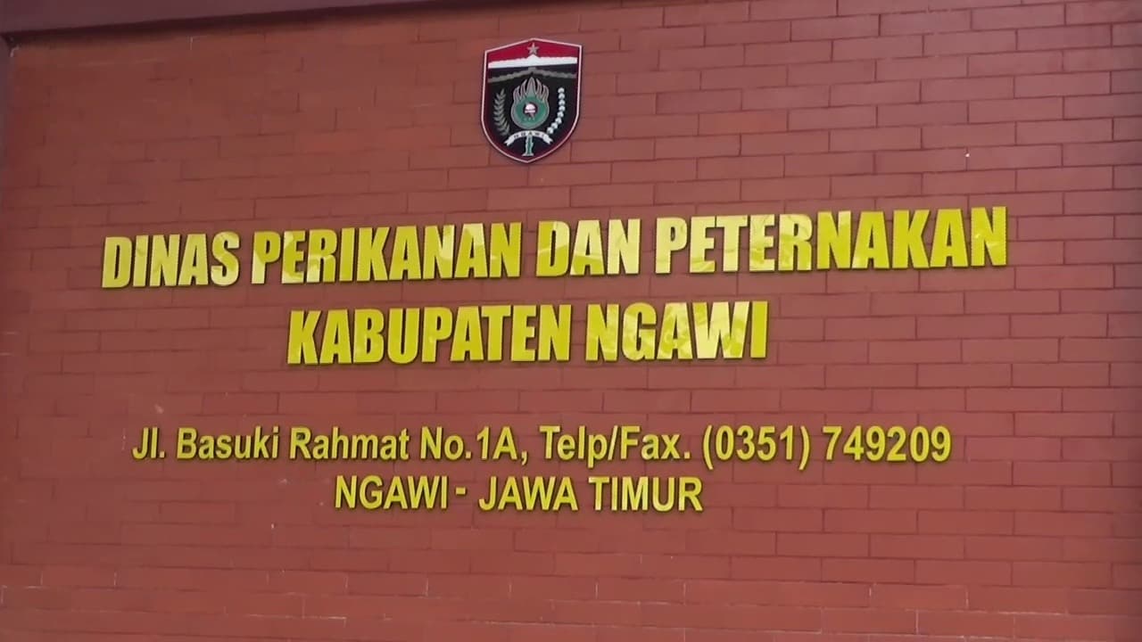 PMK Kembali Merebak, DPP Ngawi Temukan 23 Kasus Baru