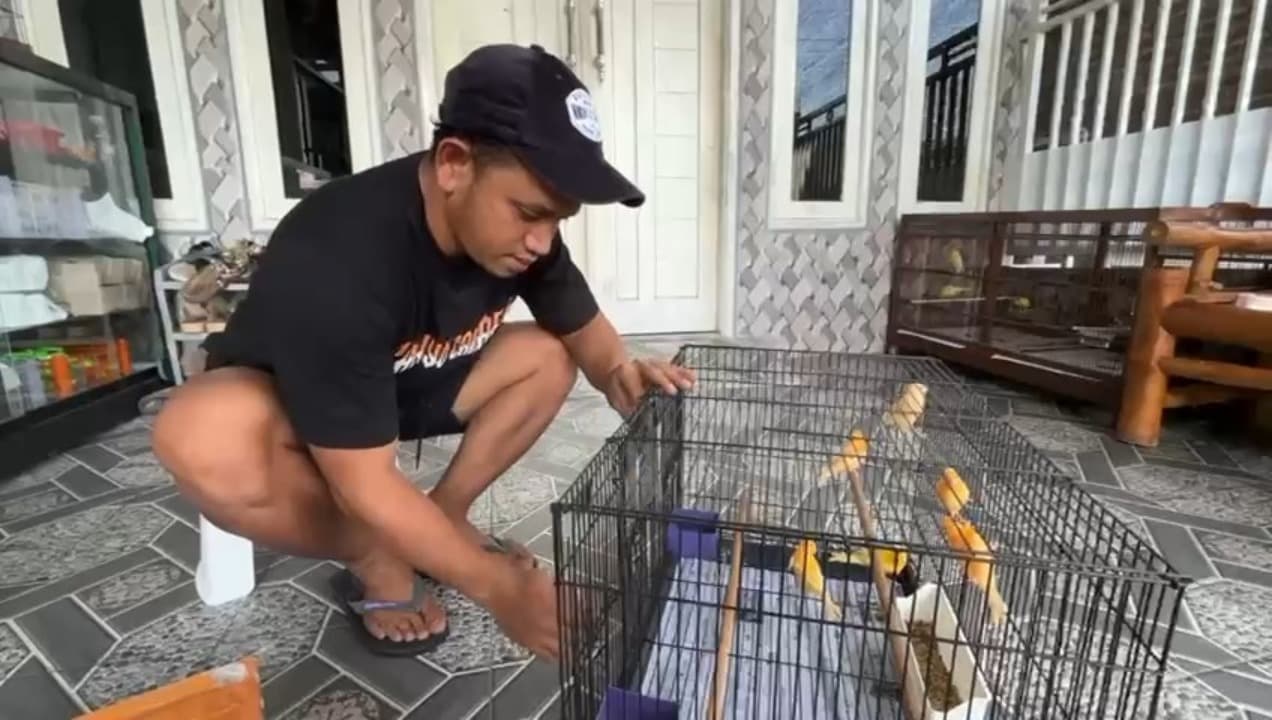 Gantung Sepatu, Mantan Pemain PSMP Sukses Bisnis Kenari Impor