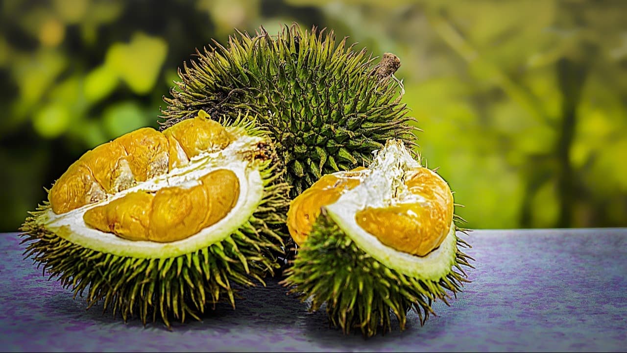 Inilah Beberapa Jenis Durian Terenak di Indonesia yang Wajib Dicoba