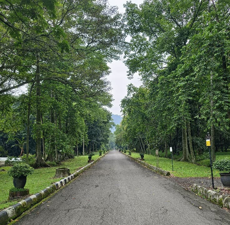 Liburan Sejuk di Kebun Raya Purwodadi: Destinasi Edukatif Pasuruan dengan Fasilitas Lengkap