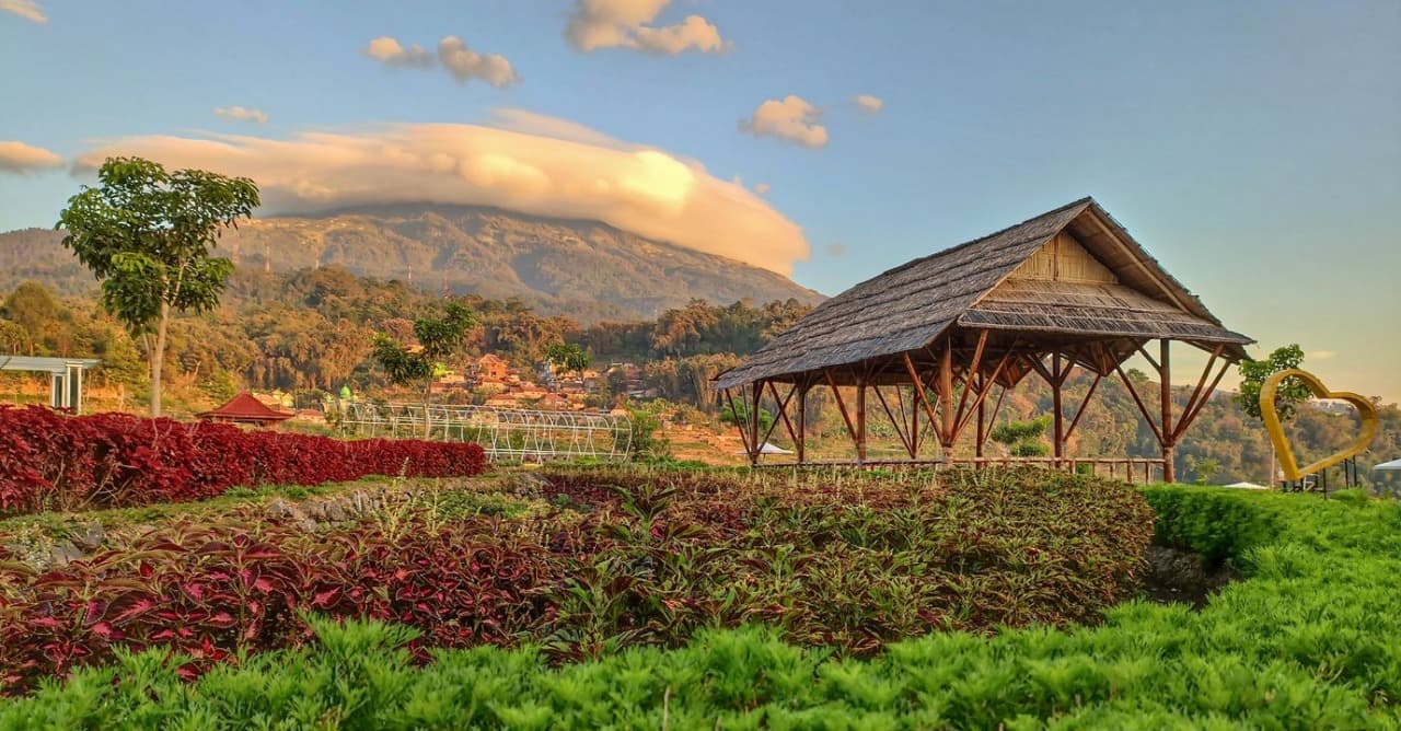 Pesona Kebun Refugia Magetan: Lautan Bunga di Lereng Lawu yang Memanjakan Mata