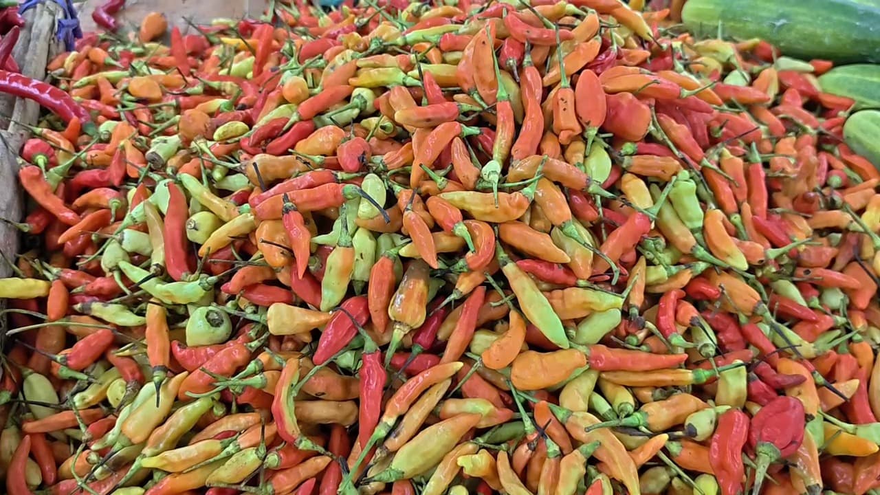 Makin Pedas! Harga Cabai Rawit Melejit Hingga Seratus Ribu Per Kilo