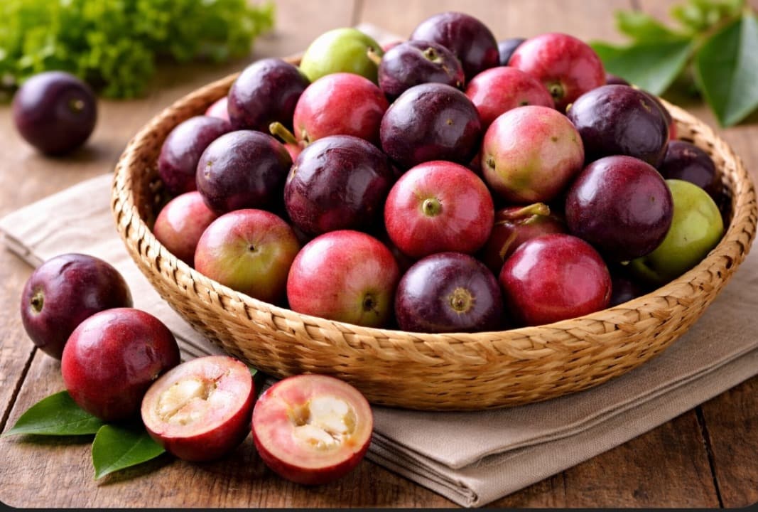 Buah Gowok Buah Langka Asli Nusantara yang Kaya Manfaat.