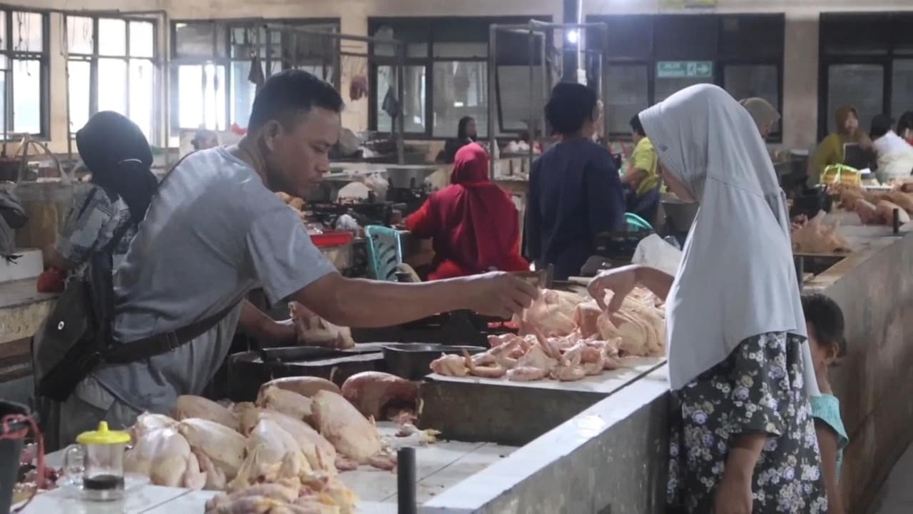 Harga Daging Ayam Tembus Rp37 Ribu, Pedagang di Pasar Pahing Kediri Keluhkan Sepi Pembeli