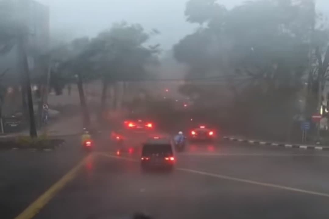 Hujan Disertai Angin Kencang Robohkan Puluhan Pohon di Surabaya