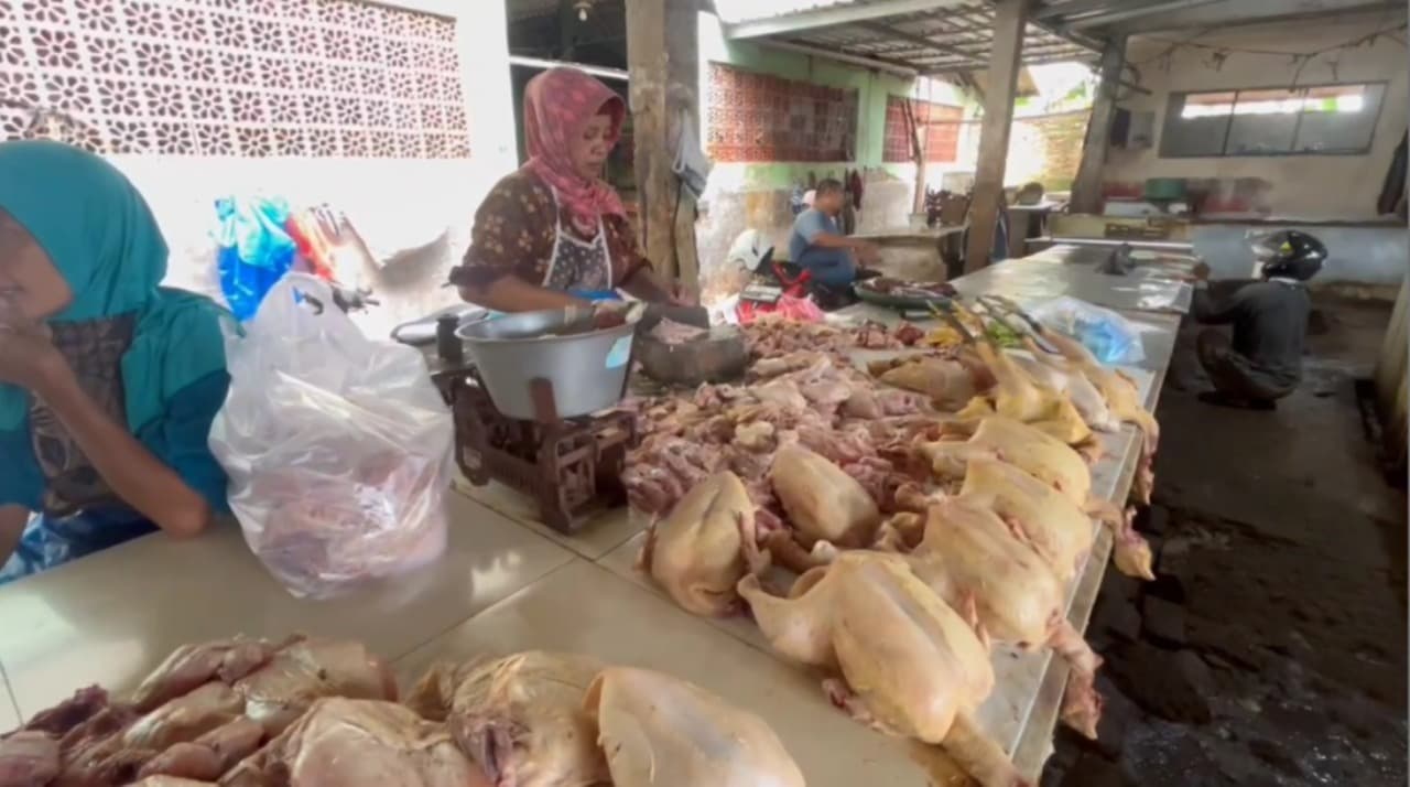 Memasuki Hari Ke-14 Ramadan, Harga Ayam Bertahan Rp48 Ribu per Kilogram