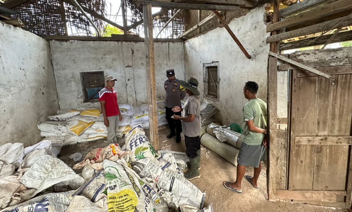 Pelaku Pencurian Pupuk di Kebun Kalitlepak Dibekuk Polisi