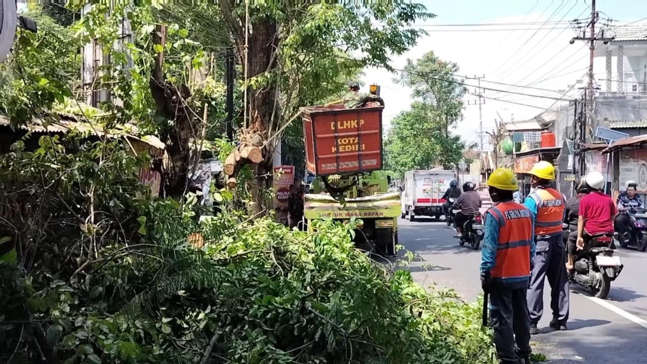 DLHKP Kota Kediri Lakukan Pemangkasan Pohon Antisipasi Bencana Hidrometeorologi