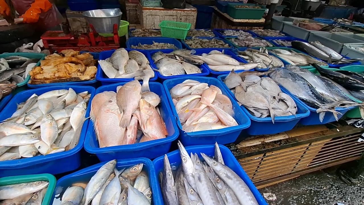 Hujan dan Gelombang Tinggi Landa Perairan Jatim, Harga Ikan di Kediri Melambung