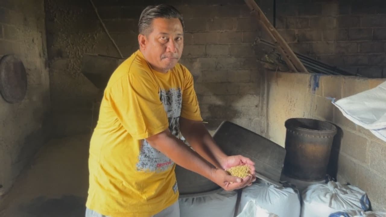 Dampak Perang, Kedelai Mahal Produsen Tempe Tertekan