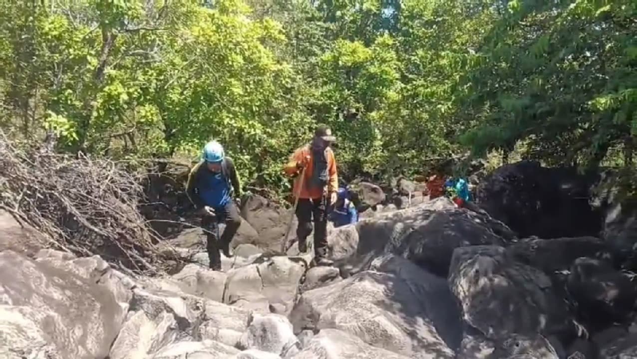 Pencarian Hari Ketiga, Kakek Hilang di Hutan Baluran Belum Ditemukan