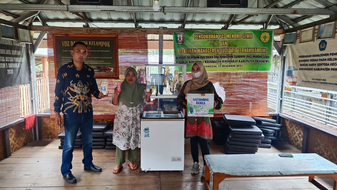 Dari Satu ke Seratus Ekor, Usaha Susu Kambing Ras Farm Berkembang lewat Dukungan KUR BRI