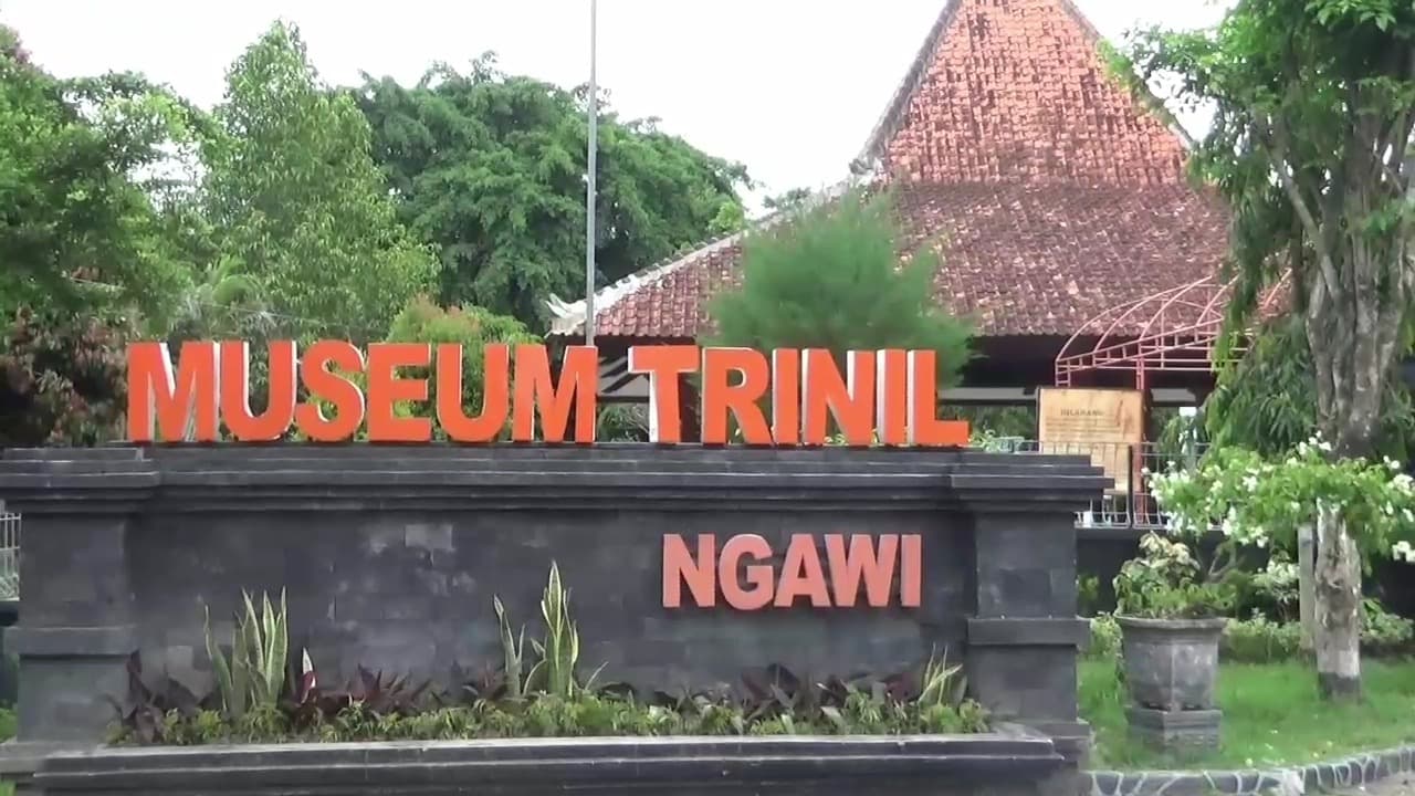 Tingkat Kunjungan Rendah, Museum Trinil Butuh Perhatian