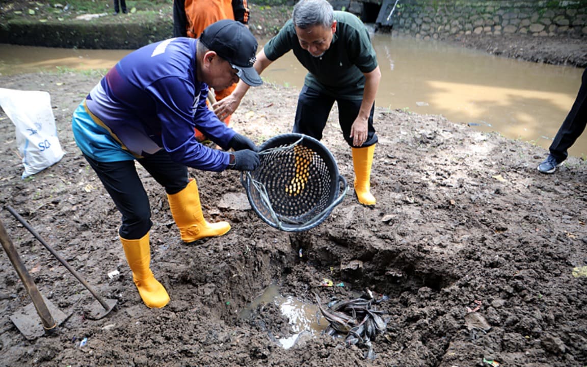 Pemusnahan Ikan Sapu-Sapu Dikubur Hidup-hidup di Jakarta Tuai Kritik MUI