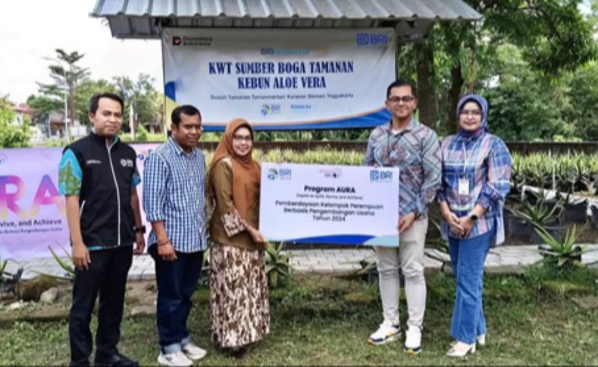 Inovasi Lidah Buaya Sleman: Dari Keripik Terlaris hingga Sabun Karya Ibu-Ibu KWT Sumber Boga