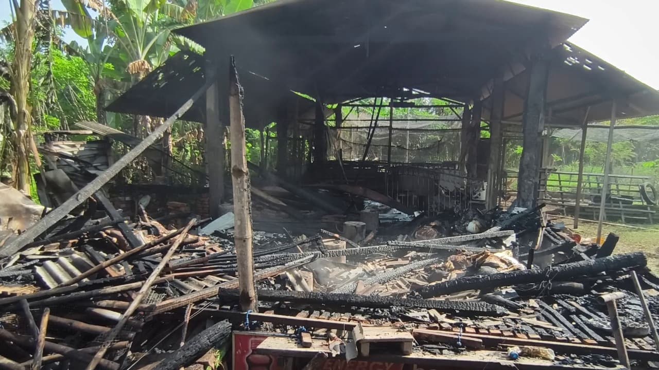 Diduga Diang Picu Kebakaran, 7 Kambing Hangus di Magetan