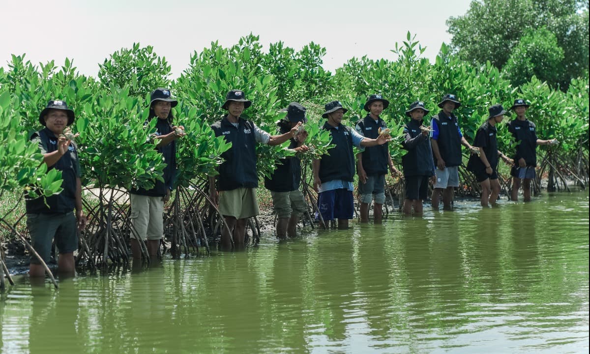 Aksi Hari Bumi, BRI Tanam Mangrove di Muara Gembong Bekasi