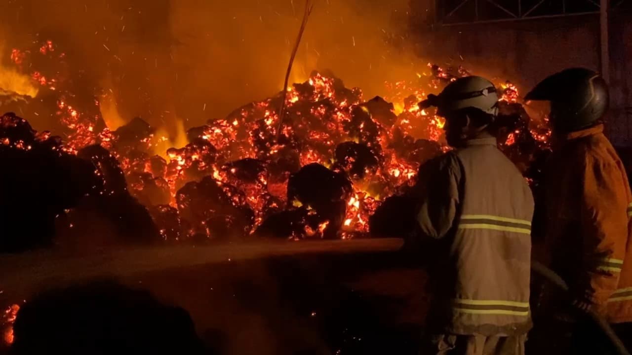 Cocofiber Siap Ekspor Ludes Terbakar, Gudang Sabut Kelapa di Blitar Dilalap Api