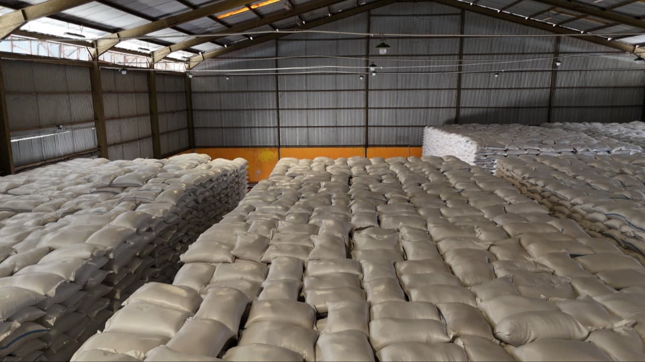 Stok Beras Nasional Tembus 5 Juta Ton, BULOG Kediri Sewa Gudang Demi Tampung Lonjakan Stok
