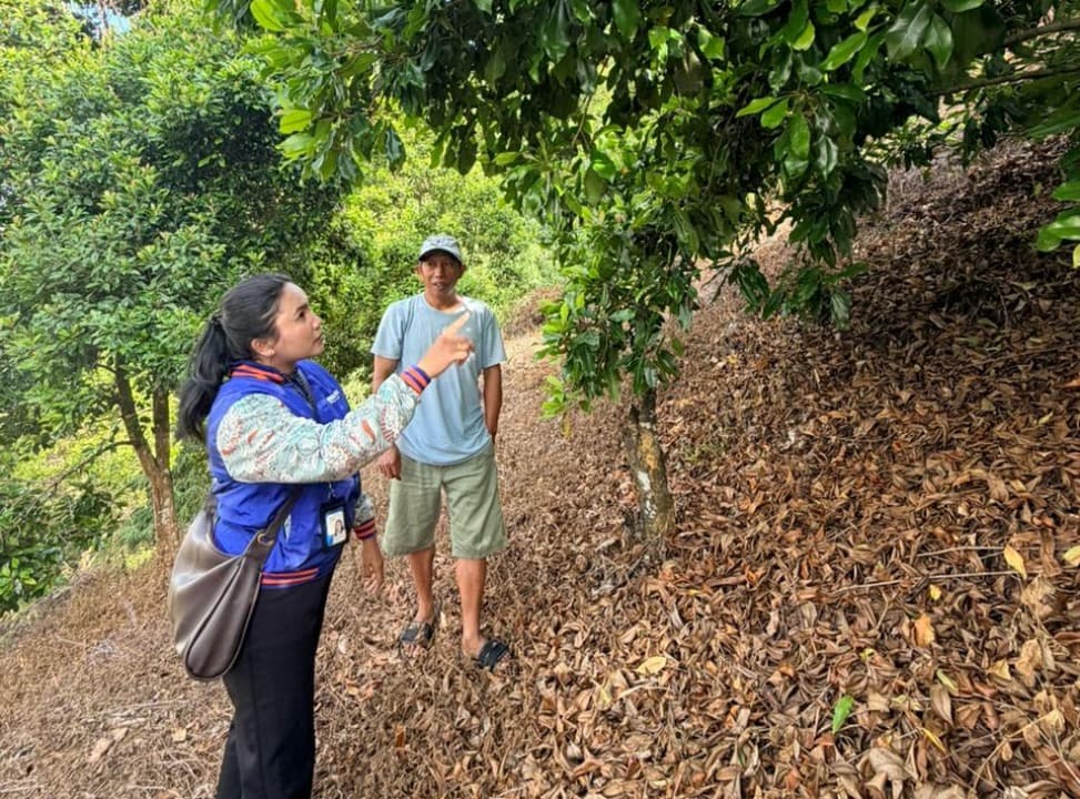 Mantri BRI di Sulawesi Tenggara Tembus Pegunungan, Gerakkan Ekonomi Rakyat